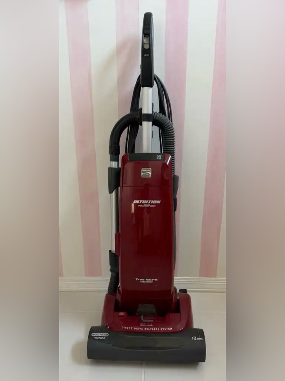 Kenmore Intuition 116 31100900 bright True HEPA Bagged Vacuum Works Well